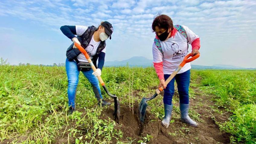 Conmemoran en Tláhuac el "Día Internacional de la Paz" con jornada de reforestación