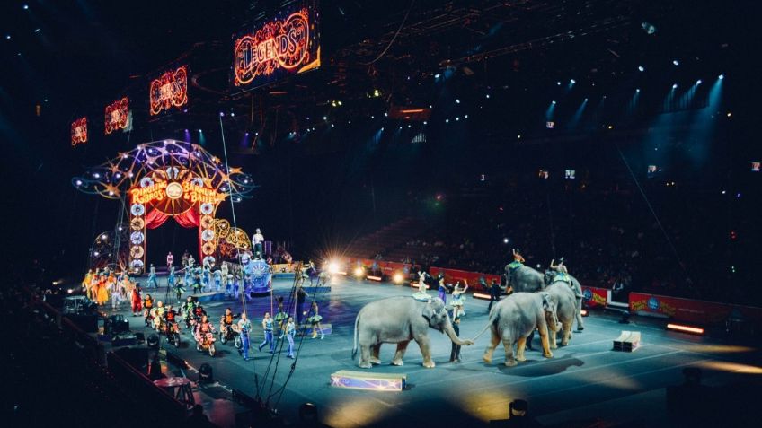 Francia prohibirá el uso de animales salvajes en los circos; aquí la razón