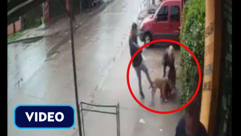 IMÁGENES FUERTES: Pitbull ataca a pequeña de 7 años; adultos no saben cómo controlar al animal