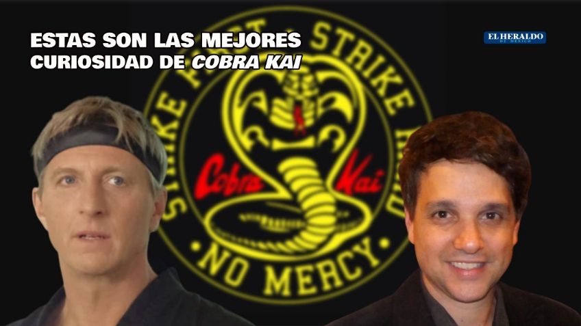 Cobra Kai: Estas son 10 curiosidades definitivas del spin off de Karate Kid