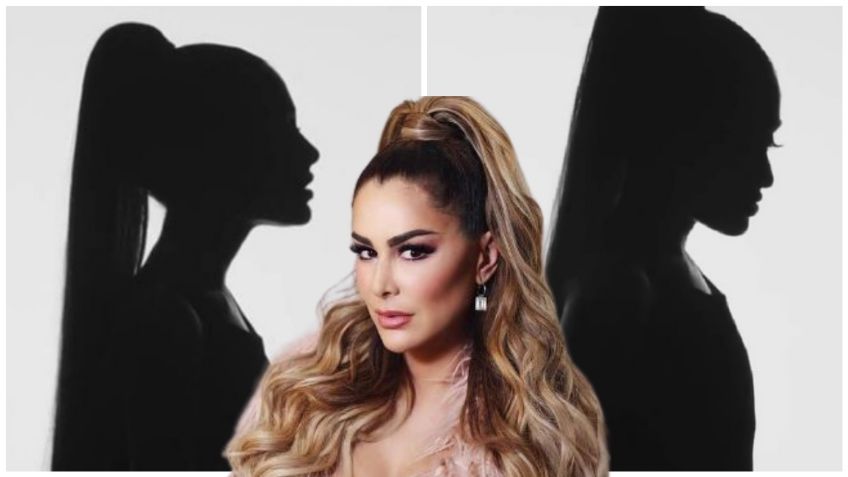 ¿Ninel Conde o Teo González? Silueta de Ariana Grande desata divertidos MEMES