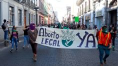 El dictamen ya está: Ricardo Fuentes sobre su propuesta de aborto legal