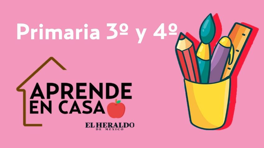 Preguntas Aprende en Casa 3 SEP | Primaria 3° y 4°, 14 de enero: actividades y respuestas