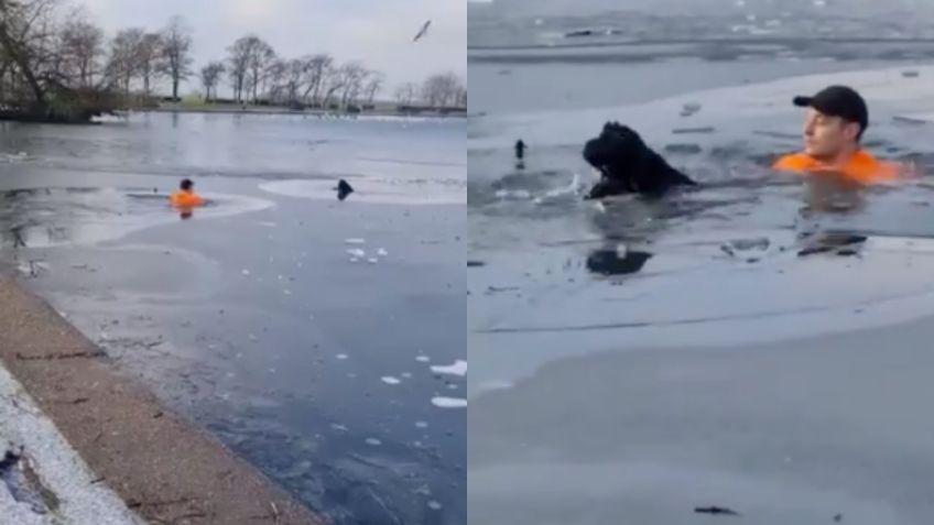 ¡Héroe! Hombre salta a lago congelado para SALVAR a perrito callejero: VIDEO