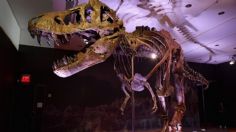 Descubre los dinosaurios que habitaron en México y el mundo con este MAPA INTERACTIVO