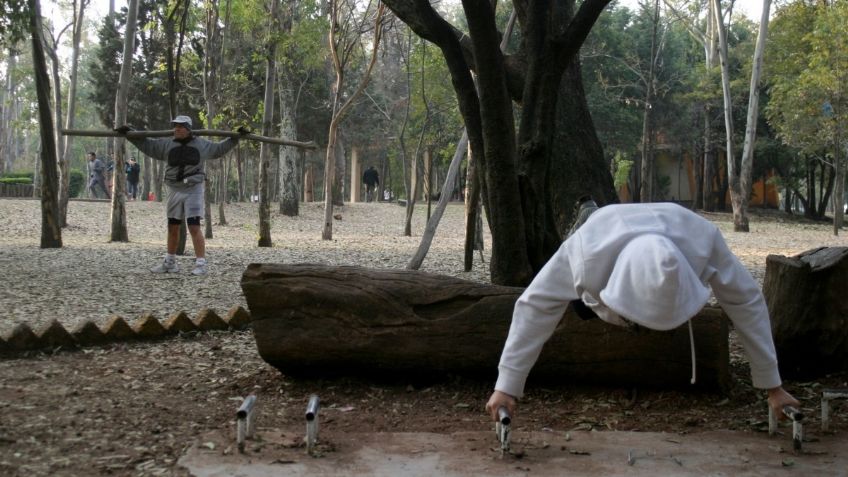 Gimnasios al aire libre ¿Cómo y cuando comenzarán a operar?