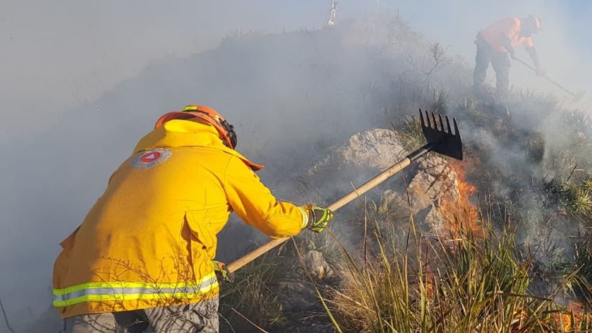 Protección Civil de Nuevo León reporta incendio forestal en el Cerro de la Silla