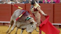 Sector taurino se opone a la prohibición de las corridas de toros con su diagnóstico de impacto económico