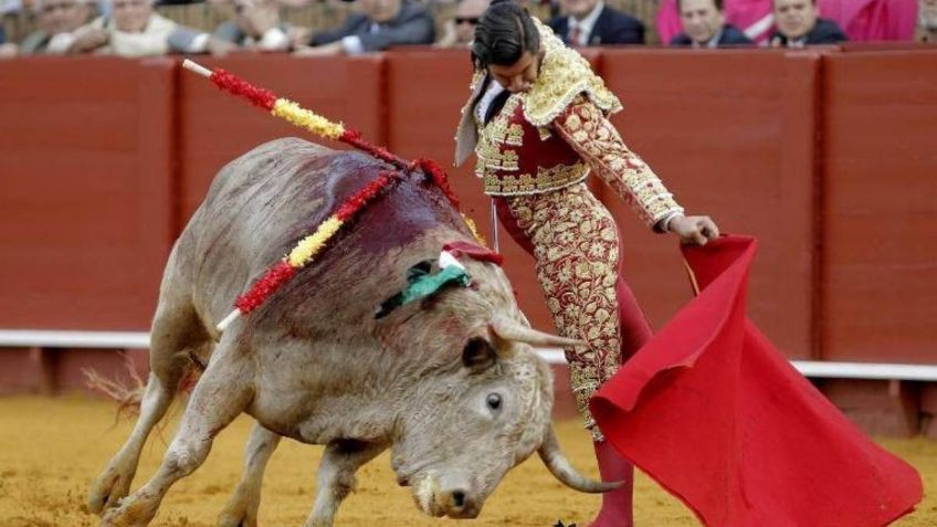 Municipio de Puebla podría prohibir las corridas de toros