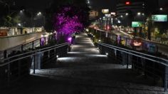 Este es el PARQUE LINEAL de Viaducto en la CDMX; conoce sus ATRACTIVOS: FOTOS