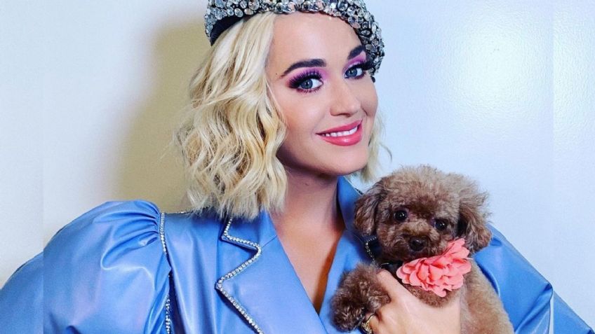 Katy Perry intenta que su perro sea VEGANO como ella y recibe fuertes CRÍTICAS