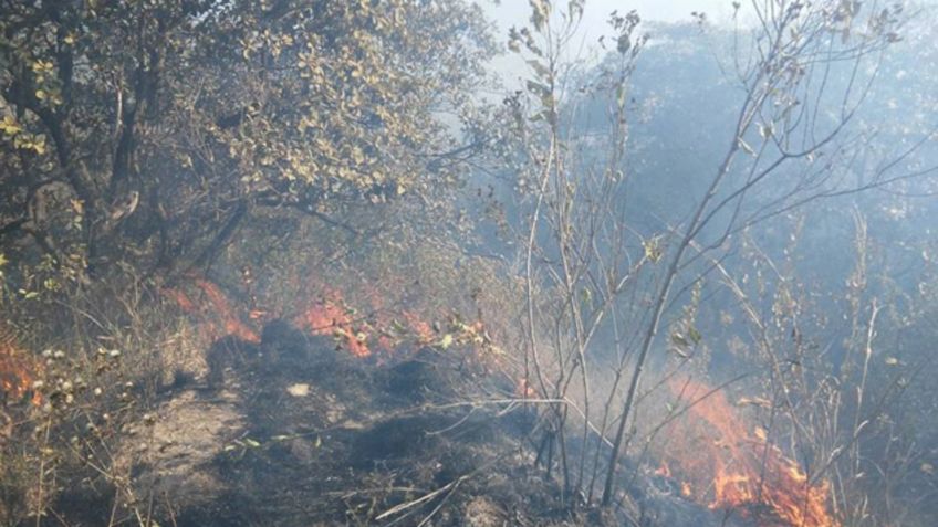 Hasta 15 años de cárcel podría enfrentar hombre que incendió Bosque Nixticuil en Zapopan