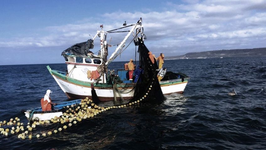 Sader levanta restricción de pesca de atún