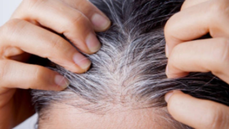 Cómo disimular las canas sin tener que pintar el cabello. Foto: iStock