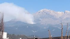 Incendio en Parque Nacional Iztaccíhuatl-Popocatépetl controlado al 70 por ciento: Probosque