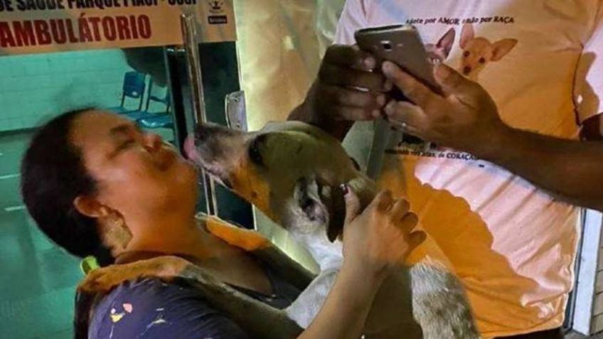 Mujer adopta a perrito que la consoló tras perder a su madre por Covid-19