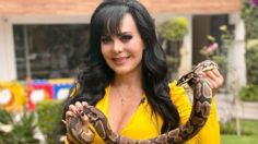 ¿Ya no le alcanza? Maribel Guardia estrena negocio por internet