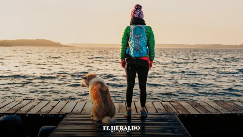 Escapada H: Turismo salvaje, viajes con tu mascota