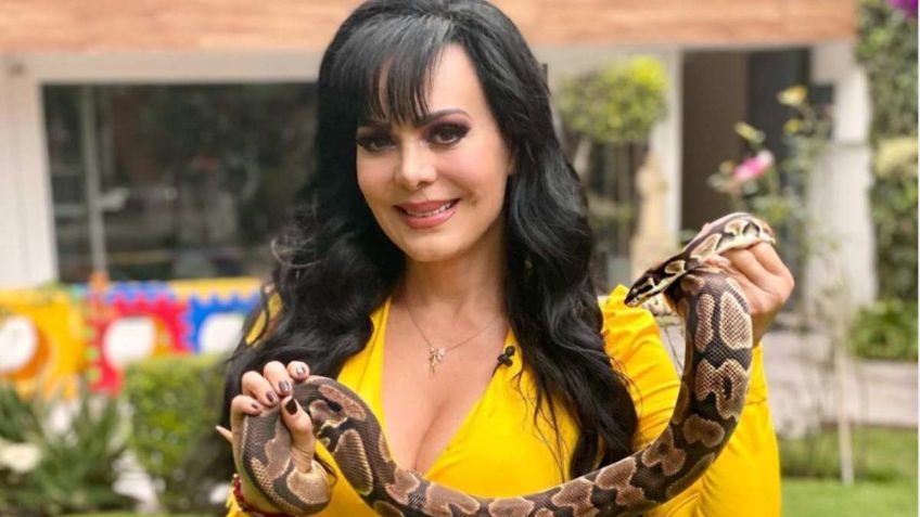 ¿Ya no le alcanza? Maribel Guardia estrena negocio por internet