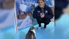 Erika Buenfil se convirtió en madrina de "Alex" el primer PINGÜINO chilango