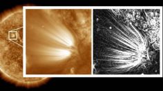 ¿El Sol tiene plumas? NASA observa por primera vez a detalle su estructura