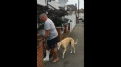 ¡En las buenas y en las MALAS! Descubren que tierno perrito IMITA lesión de su dueño: VIDEO VIRAL