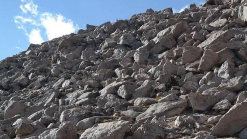 RETO VISUAL: ¡Nivel Dios! Encuentra al borrego entre las rocas en el menor tiempo posible