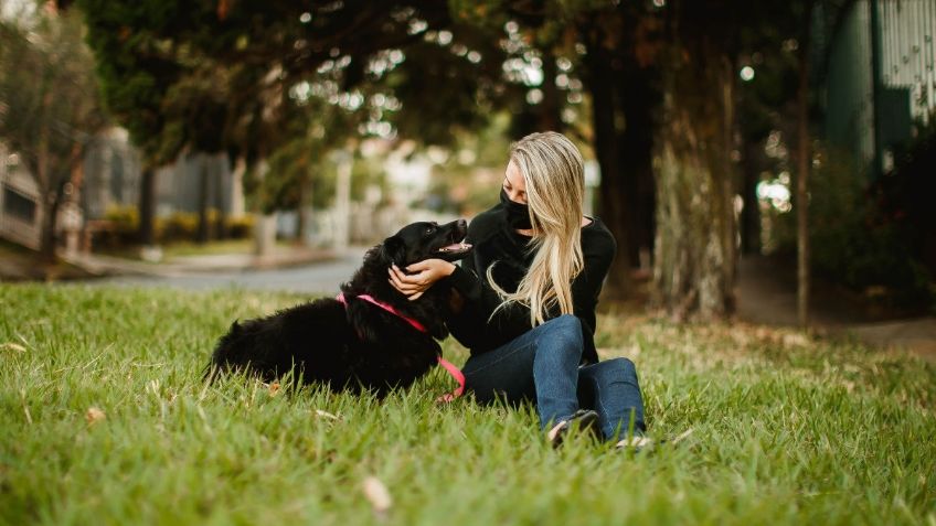 ¿Tienes perros? Tu amigo podría protegerte del Covid-19, revela estudio