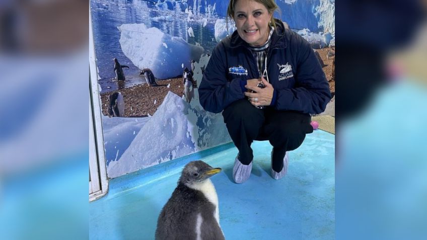 Erika Buenfil se convirtió en madrina de "Alex" el primer PINGÜINO chilango