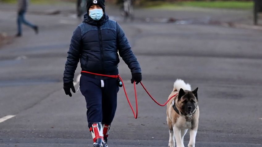 ¡Lomitos al rescate! Equipo de la NBA usará PERROS para detectar COVID-19