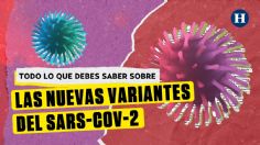 Nueva cepa de covid: ¿Hay nuevos síntomas? Esto es lo que sabemos de la mutación del virus