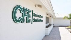 CFE deja de lado energías renovables en plan de negocios