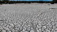 Ingeniero mexicano podría haber inventado el agua en polvo