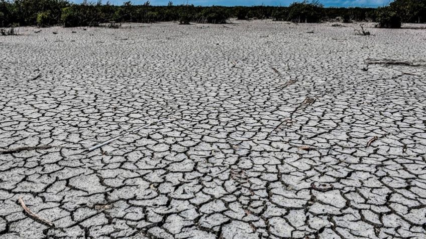 Ingeniero mexicano podría haber inventado el agua en polvo