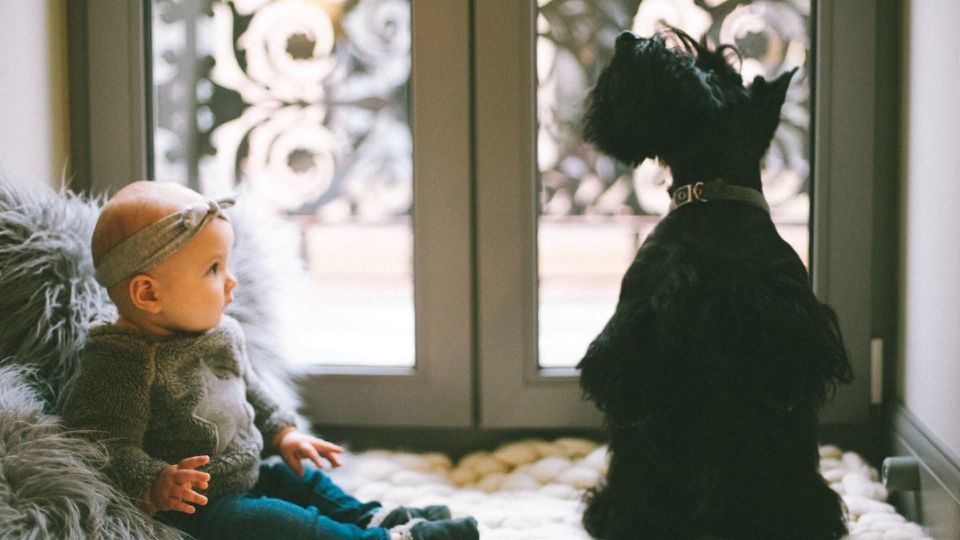 La llegada de un recién nacido cambia por completo los hábitos y rutinas de una familia. Foto: Especial