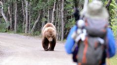 VIDEO VIRAL: ¡Por poco! Enorme oso salvaje persigue a esquiador y casi lo devora