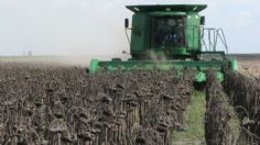 Siembras del norte en peligro de producción por falta de agua