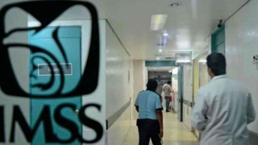 De esta manera puedes registrar, PASO a PASO, a tus hijos en el IMSS en línea