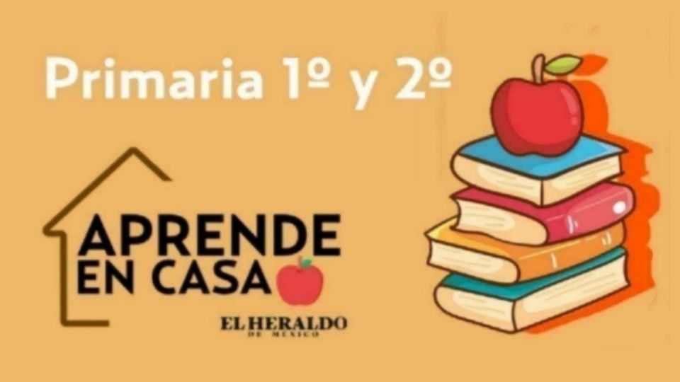 Consulta las actividades para 1° y 2° grado de primaria. Foto: Especial