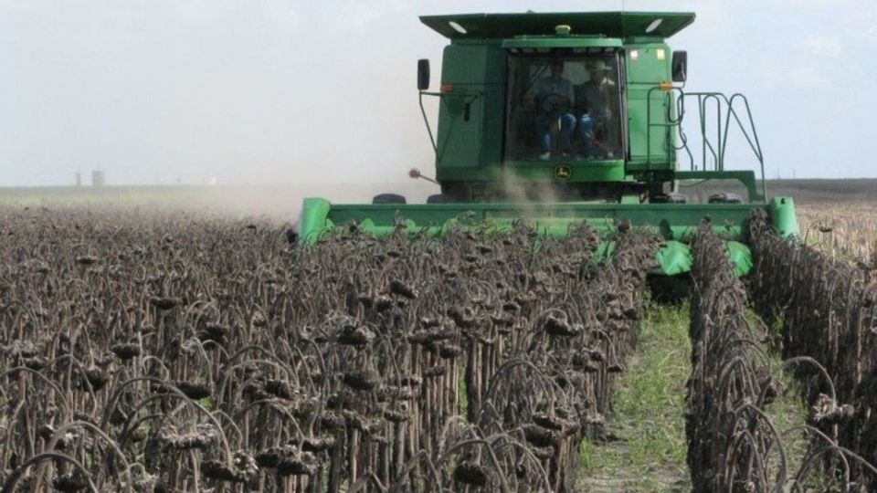 En Tamaulipas la falta de agua podrá afectar la producción de siembra. Foto: Especial