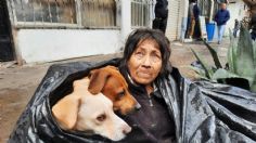 VIDEO: ¡Se nos parte el corazón! Abuelita y sus 6 perros se refugian del frío y lluvia dentro bolsa de plástico