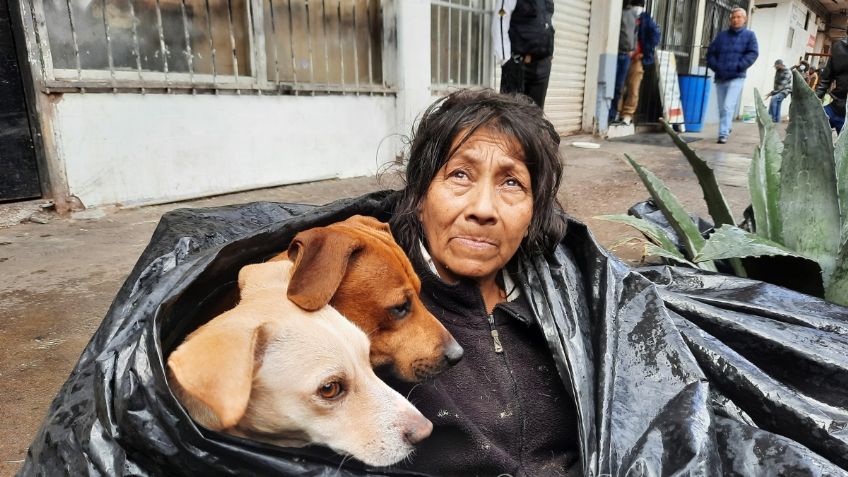 VIDEO: ¡Se nos parte el corazón! Abuelita y sus 6 perros se refugian del frío y lluvia dentro bolsa de plástico