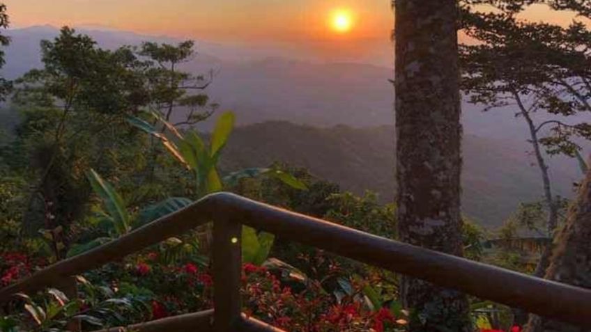 Este es Pluma Hidalgo, el pueblo cafetalero de Oaxaca que pocos conocen