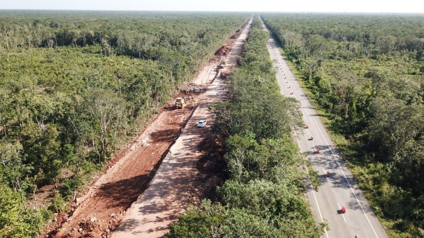 Van 10 consorcios por tramo Cancún-Playa del Carmen del Tren Maya