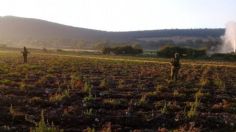 Huachicoleros son sorprendidos ordeñando una toma clandestina en Hidalgo