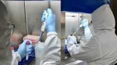 Así se hace una prueba PCR: conoce el detrás de un laboratorio