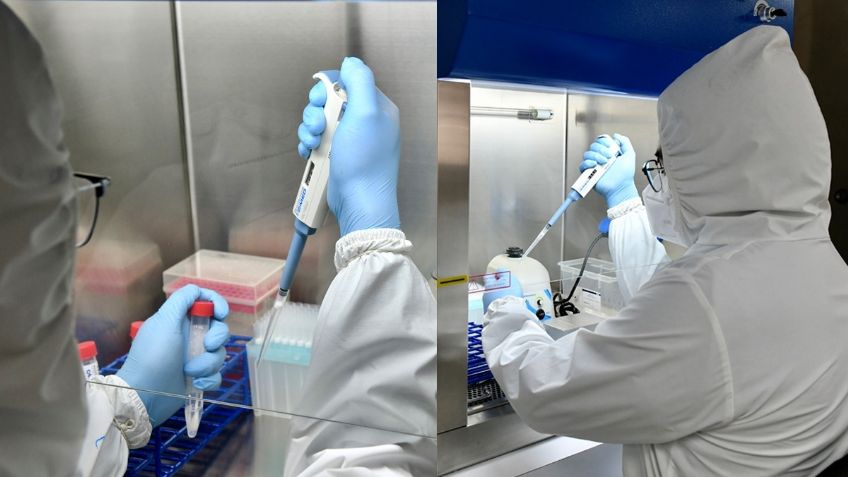 Así se hace una prueba PCR: conoce el detrás de un laboratorio