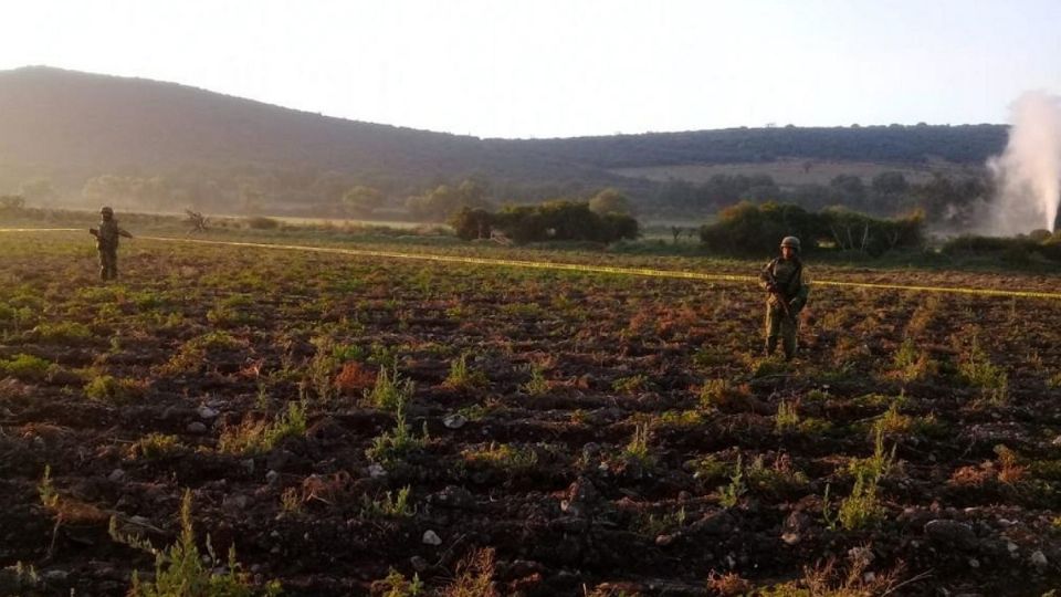 Las autoridades aseguraron la zona