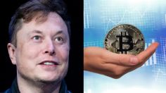 Elon Musk demuestra su PODER y con un TUIT repunta el valor del BITCOIN