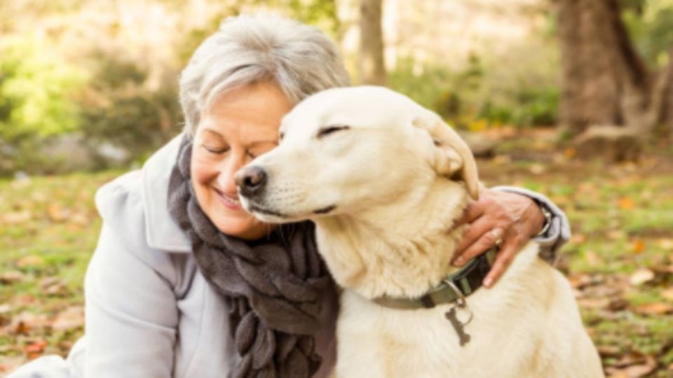 Beneficios de tener una mascota para los adultos mayores. Foto: iStock